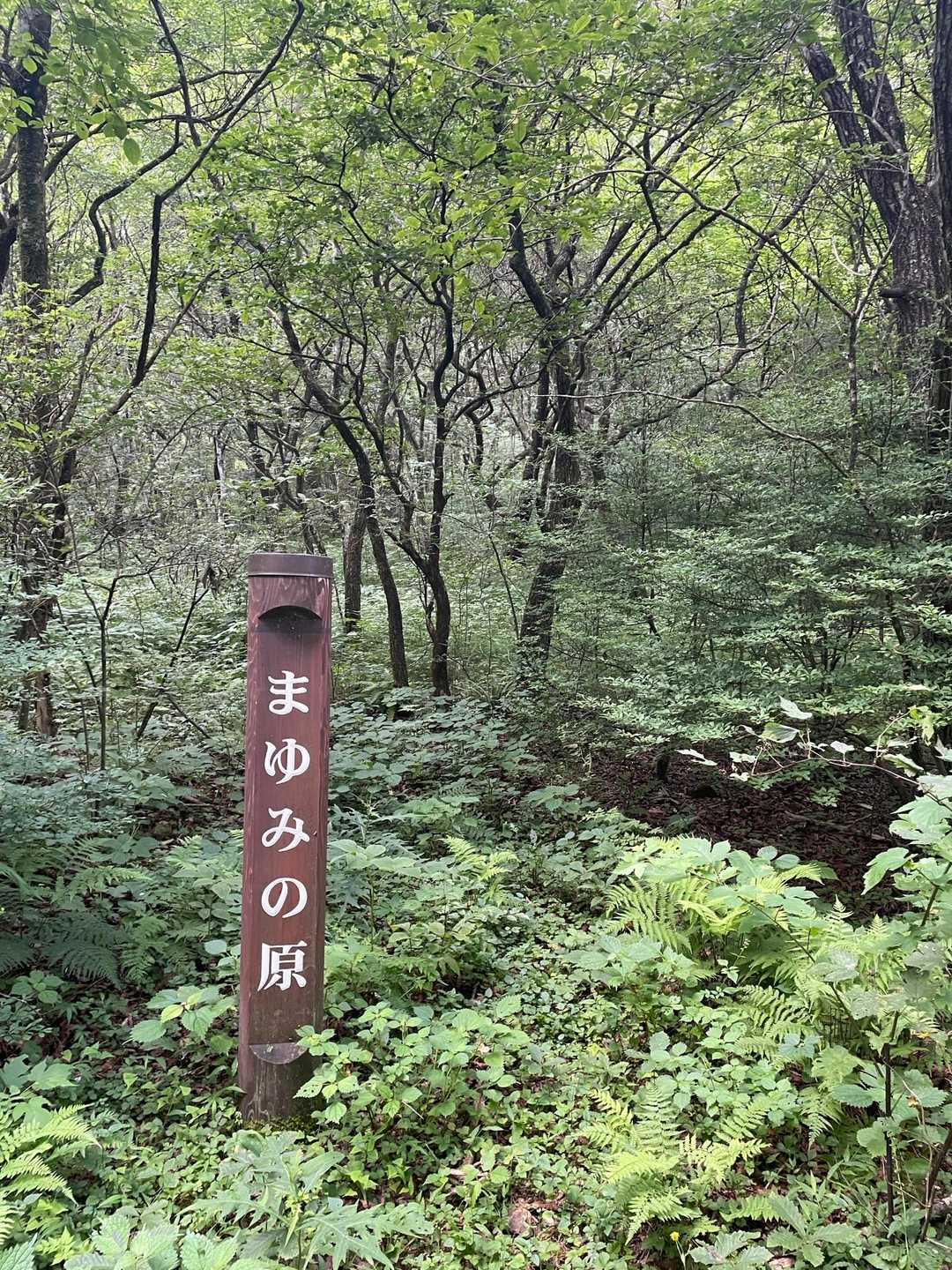 4年前は看板の周りに葉っぱは無くて、真横まで行けました。何年か後には看板が隠れてしまうのかな😅