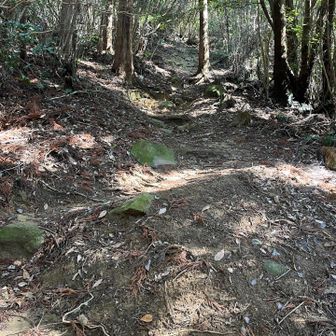 全く伝わらないけど

特に上の方　
バランス崩したら後ろに転げる角度と足元だった　こわ😱

下りは絶対通りません