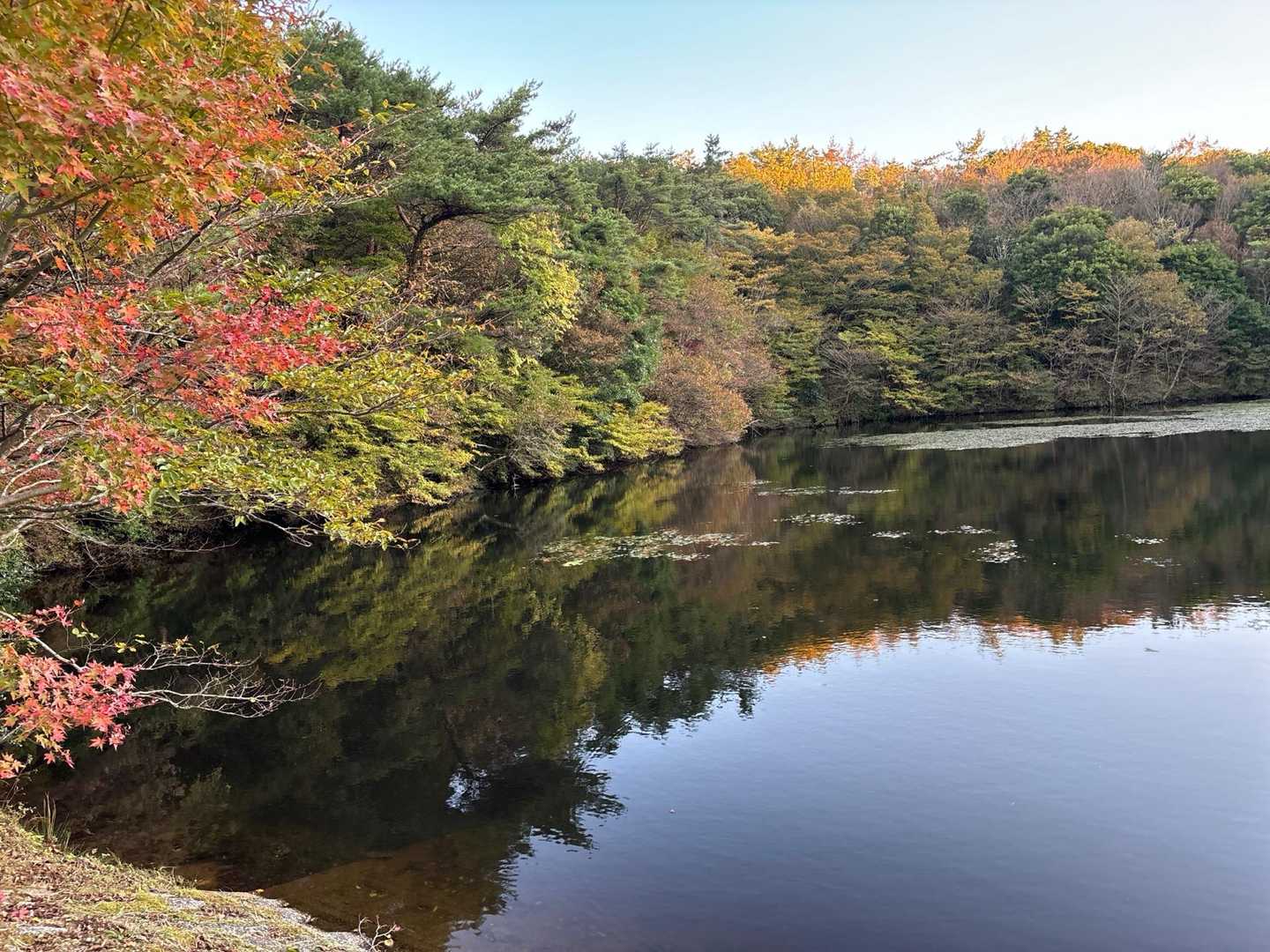 圧巻の人生の並木道から3つの自然湧水池を持つ作礼山への写真