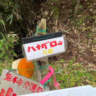 ここから先も行きたかったけど〜🥲

次回の楽しみに取っておこう😌🎶