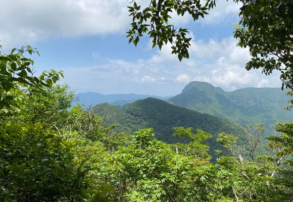 多良岳（佐賀・983m）| 登山ルート・天気 | YAMAP / ヤマップ