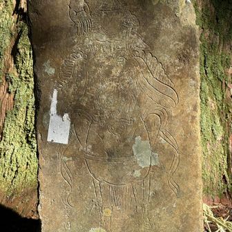 達磨杉の石碑の達磨様