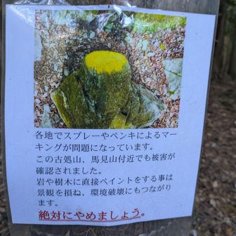 岩や樹木にペイントするのは、景観を損ね環境破壊につながるので絶対にやめましょう❗