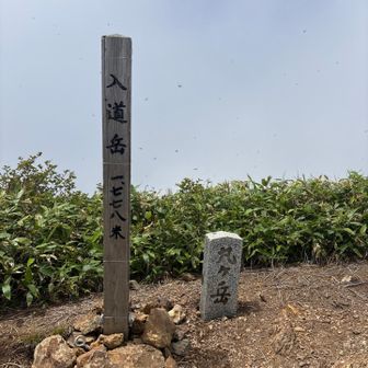 頂上到着。日差しが強く暑すぎる