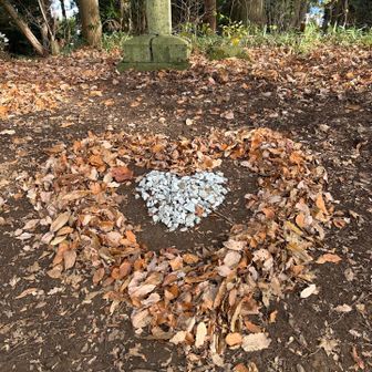 落ち葉で、土手ができてました