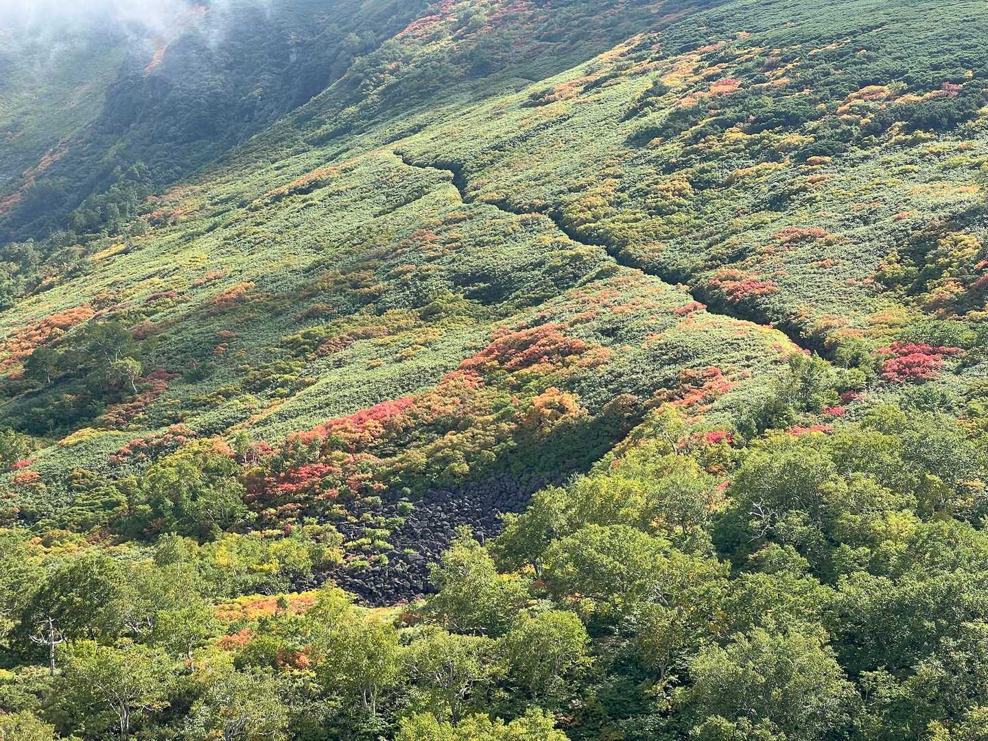 紅葉きれいで永山岳に変更💪