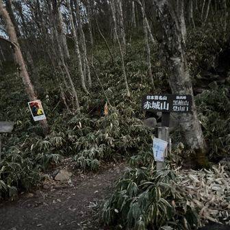 登山口からスタートです😀