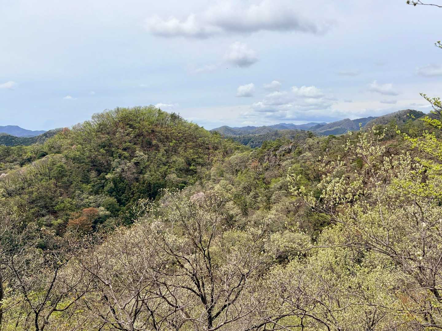 出尾根コース登山口-三床山-天ヶ岳-林山-金原山 周回コースの写真