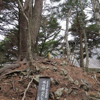 この「のろし台」に立つと意外に高くてビビった