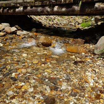 川の水は冷た〜い