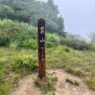 少し上から📷