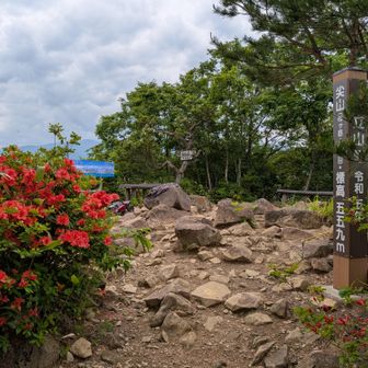 山頂到着時男性1人、初めて来たと言う尖山、夏椿コースで登って来たと言う。　朝乃山は学校の先輩だそうだ。