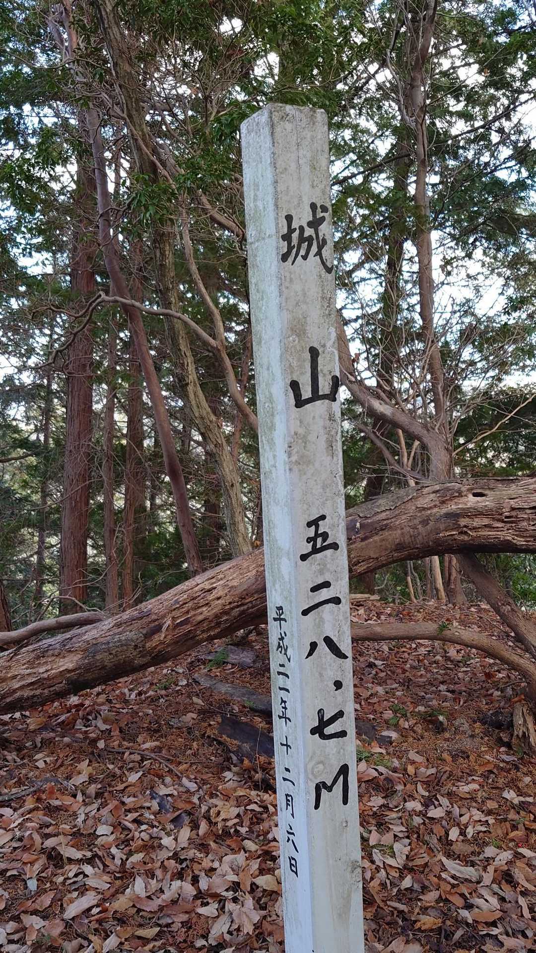 着きました。
標高528mの城山山頂🚩💪