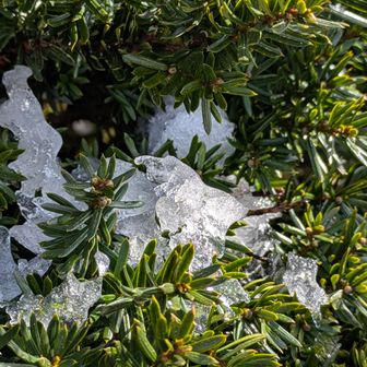 キャラボクさん💚お久しぶり！