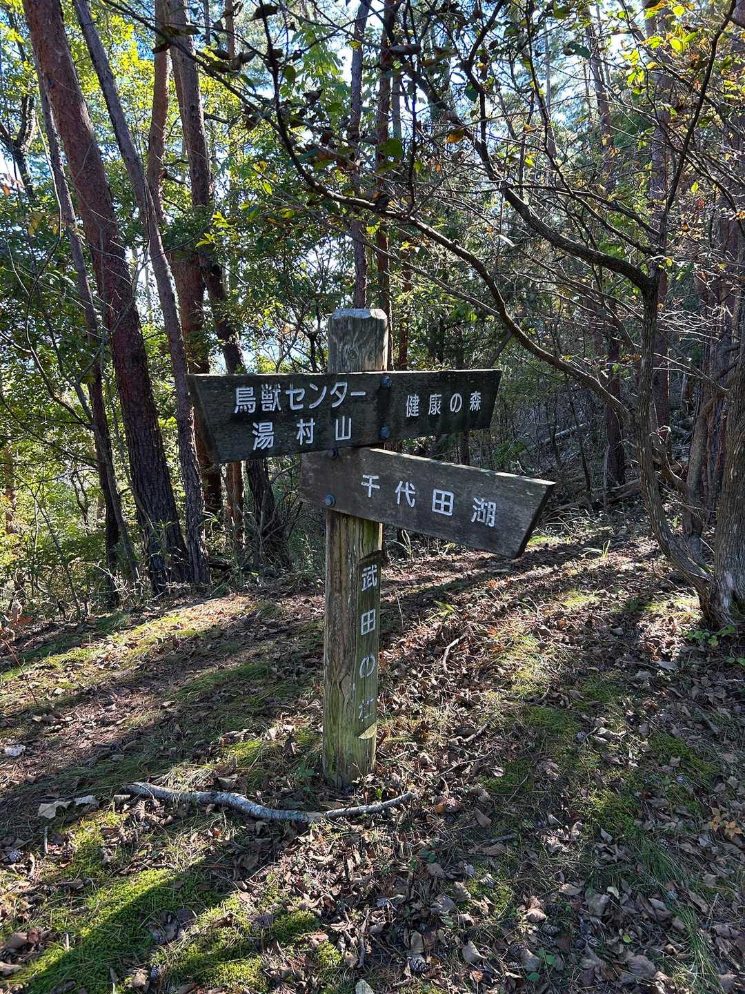 千代田湖に戻ります