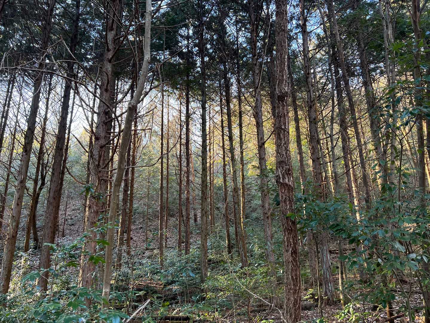 こうゆうのも好き
お疲れ山