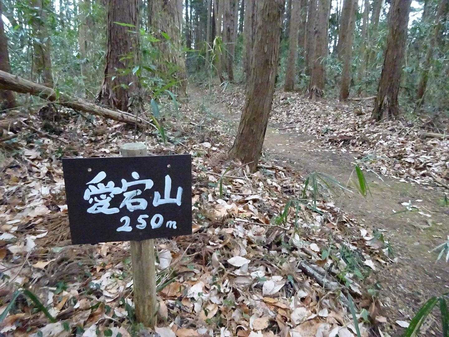 御亭山登山口-飯綱山 周回コースの写真