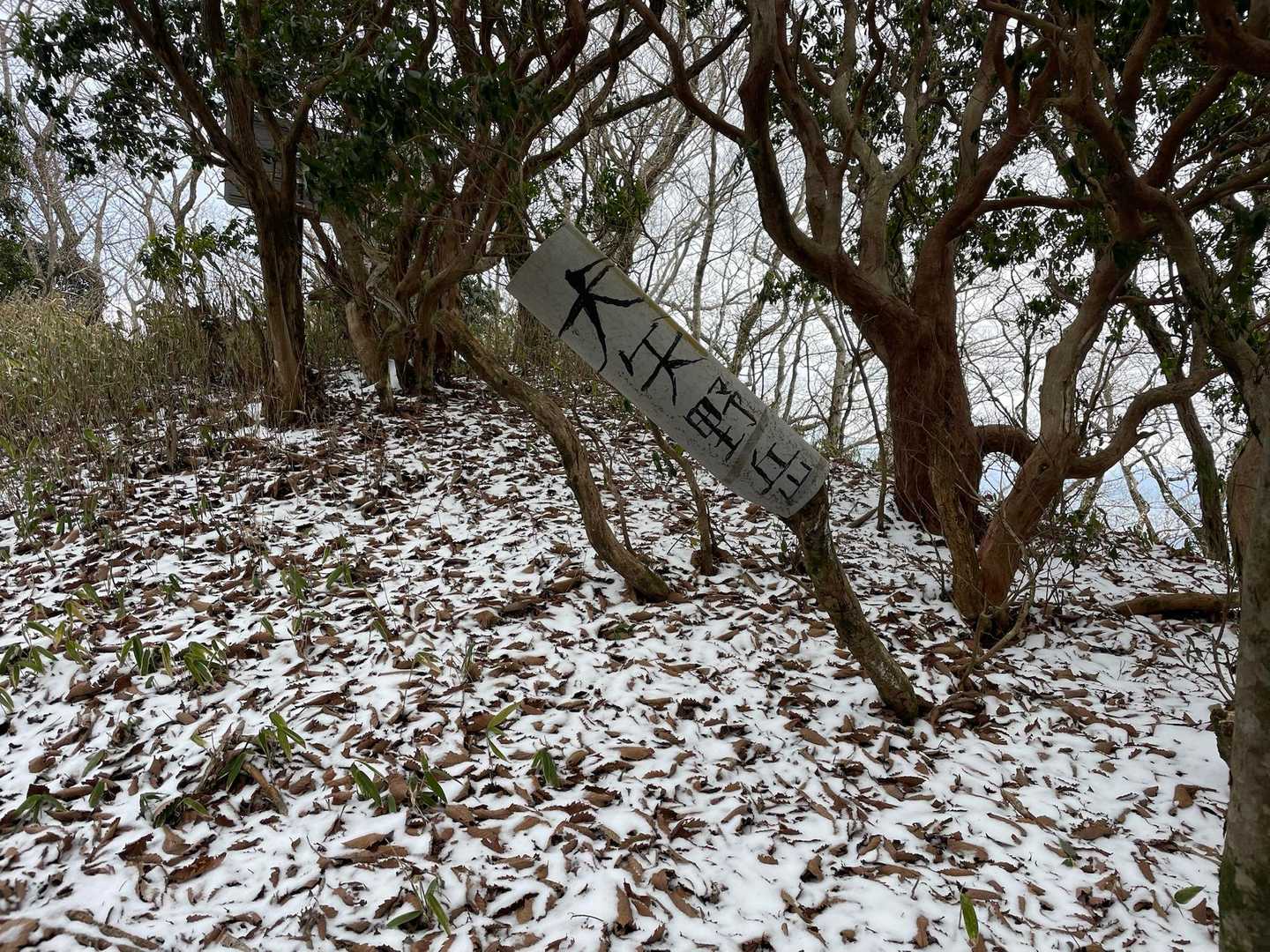 地蔵峠-大矢岳-大矢野岳-太郎ヶ迫-駒返峠 縦走コースの写真