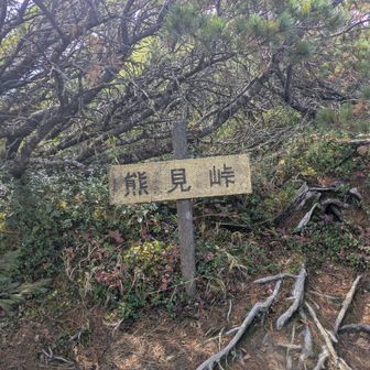 ここから約１時間急な下り坂が続きます🥵