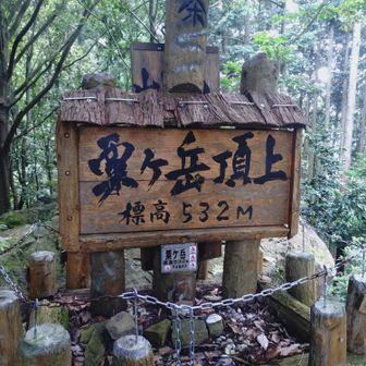 粟ヶ岳山頂標識532m