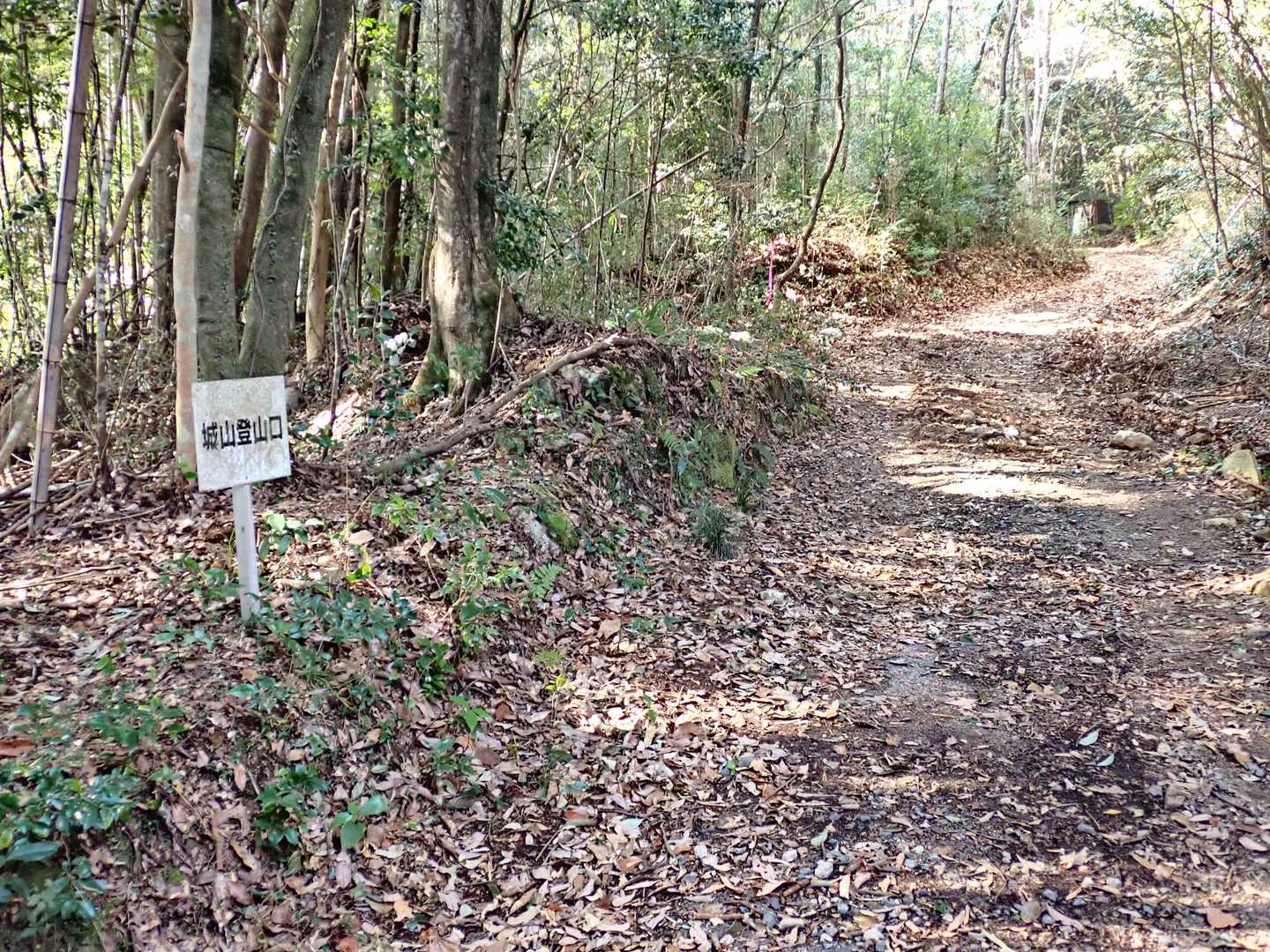 一応ここが登山口らしい。まだ林道が続きます。