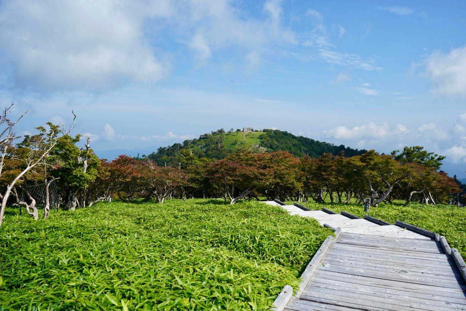 大杉峡谷登山口-休憩所-堂倉滝吊橋-大台ヶ原山-大台ヶ原バ 往復コースの写真