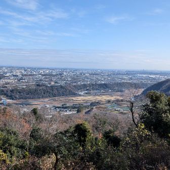 どうにか鷹射場へ。
相模原市街地の展望🤩