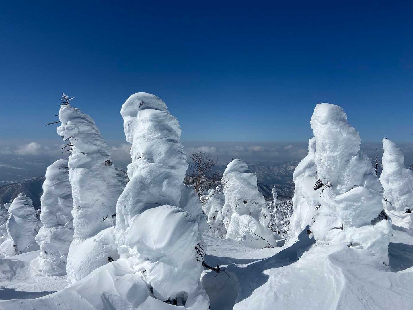 西大巓 往復コースの写真