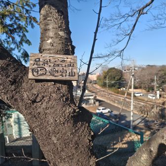 愛宕山山頂に到着