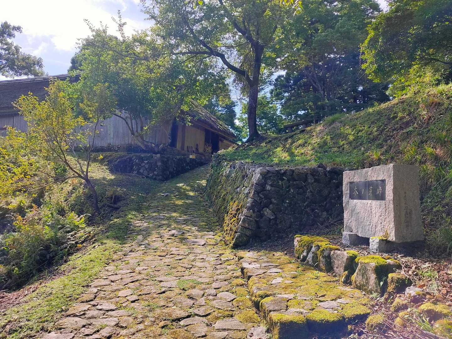 木の芽峠。写真の向う側は下りで、本当に峠でした。