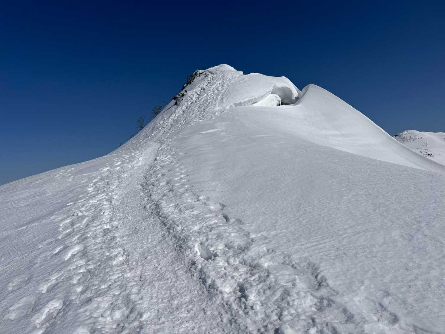 剣ヶ峰山-武尊山 往復コースの写真