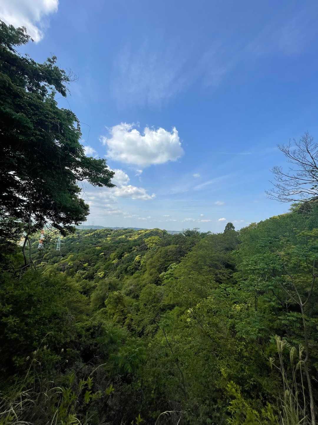 神武寺駅-鷹取山 周回コースの写真