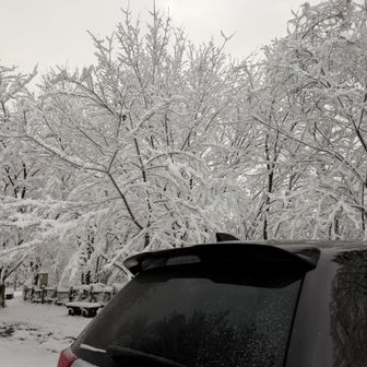 チェーンスパイク履いて