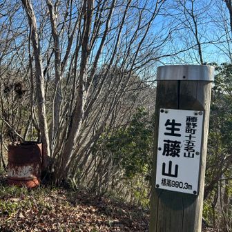 生藤山993.6m
ここも富士山どこだ？って感じ
また岩ギザギザおりて