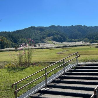 🌳🪵では里山ウォーキングへ出発🥾🌿

💙✨💙✨💙原山Blue💙✨💙✨💙

🙌お見事な快晴です🎶