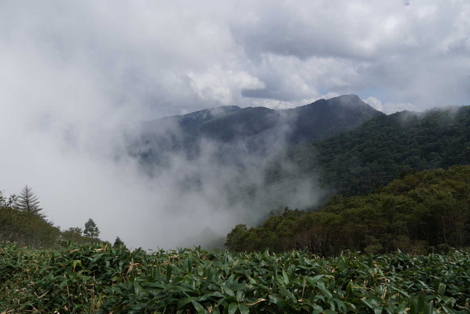 平家平方面もガスに覆われました
