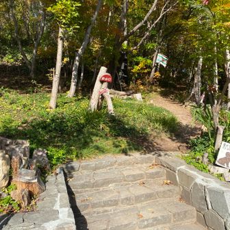 赤坂山登山口。これから40分かけて家まで歩いて帰ります。ここまでがワンセット(*´ω｀*)