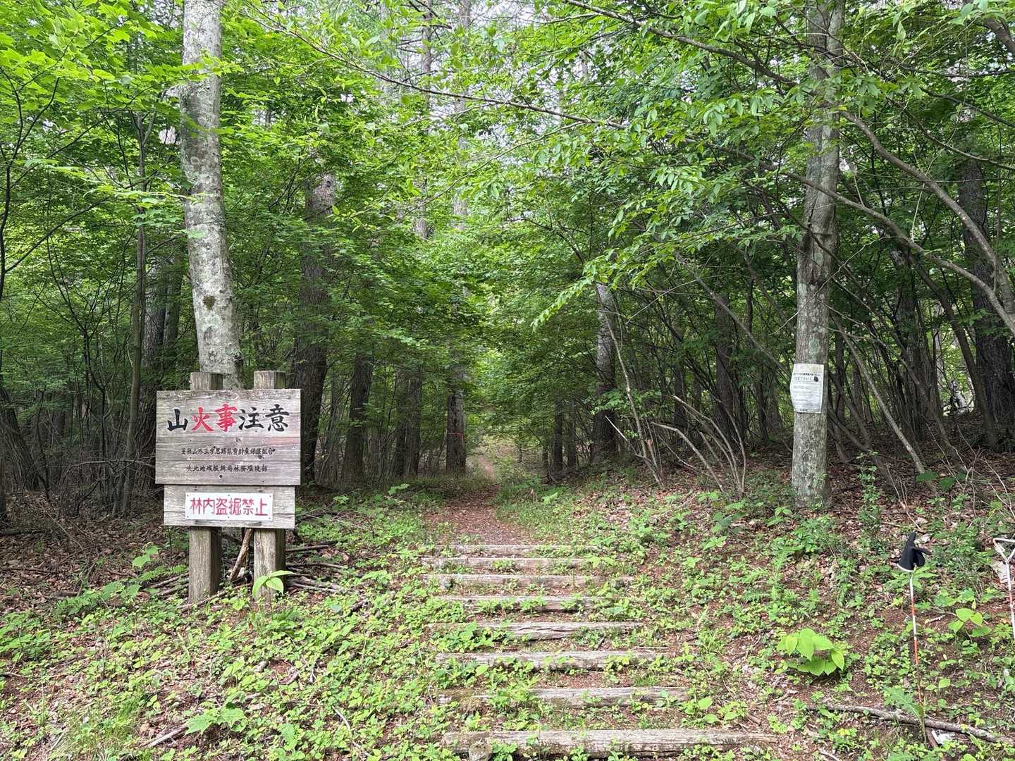 登山口は駐車スペースの目の前！
ここからスタート