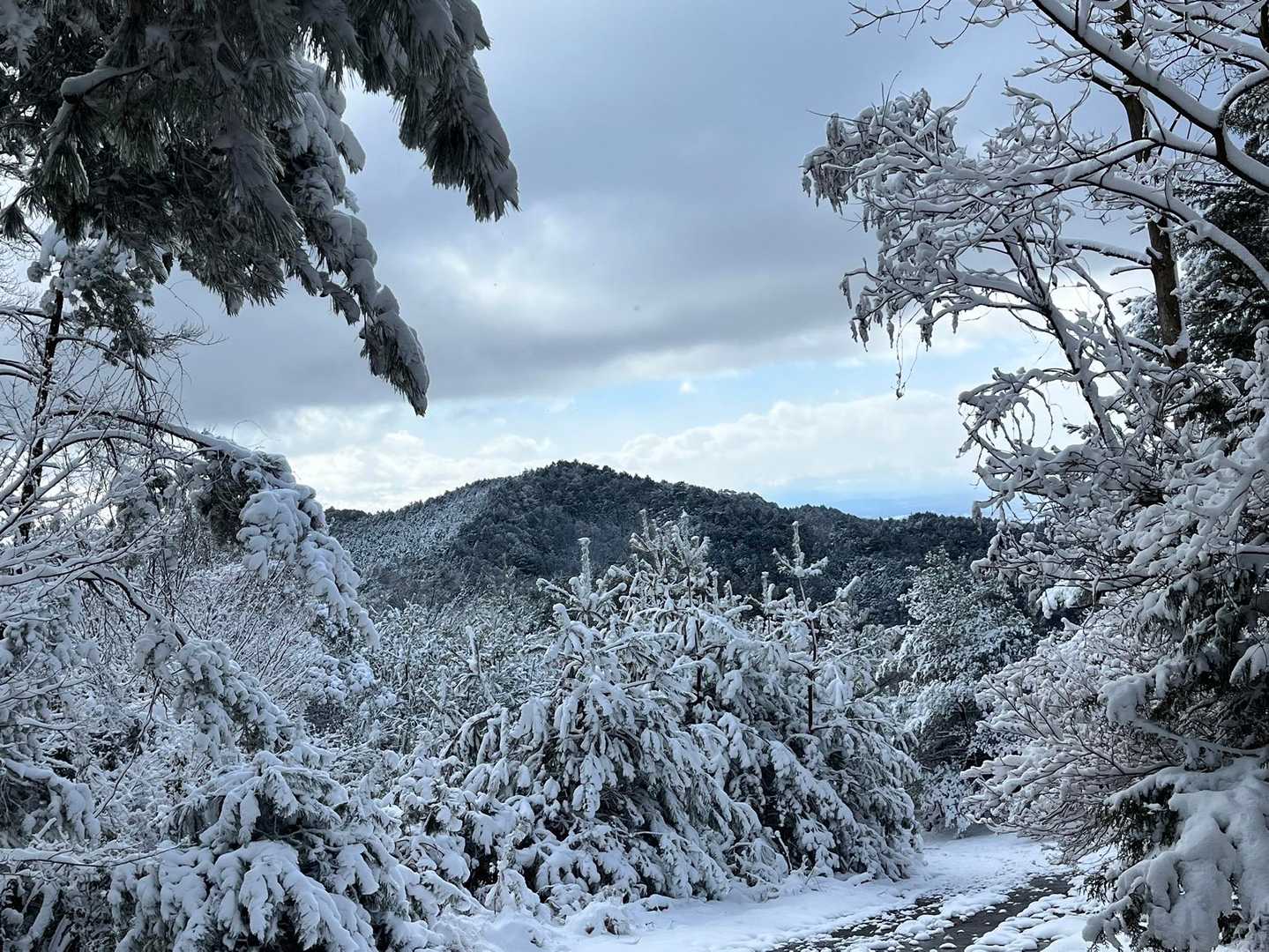 醍醐山方面