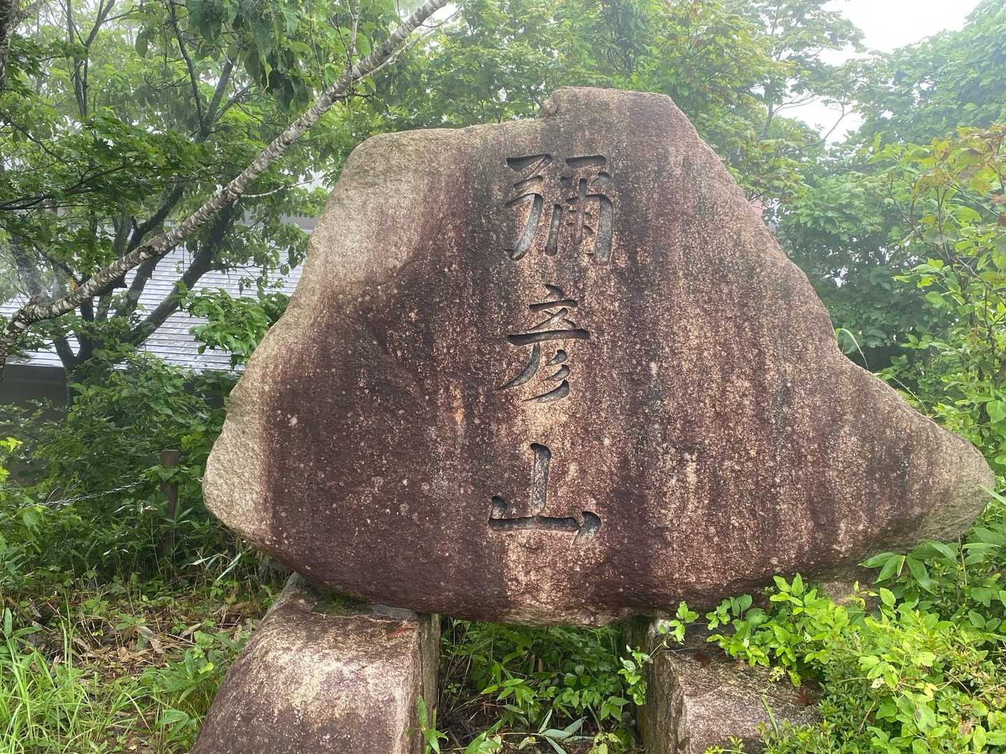 弥彦山ロープウェイ山頂駅発着｜田園と日本海を望む弥彦山往復コースの写真