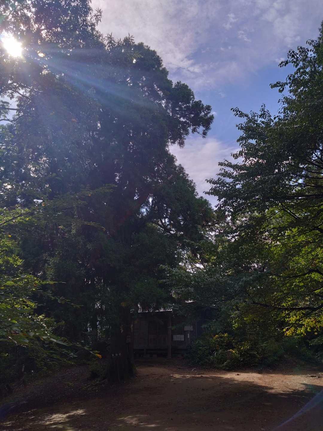 文殊山 | 泰澄が開いた知恵の山、雲海と新幹線を見下ろす福井のソウルマウンテンの写真