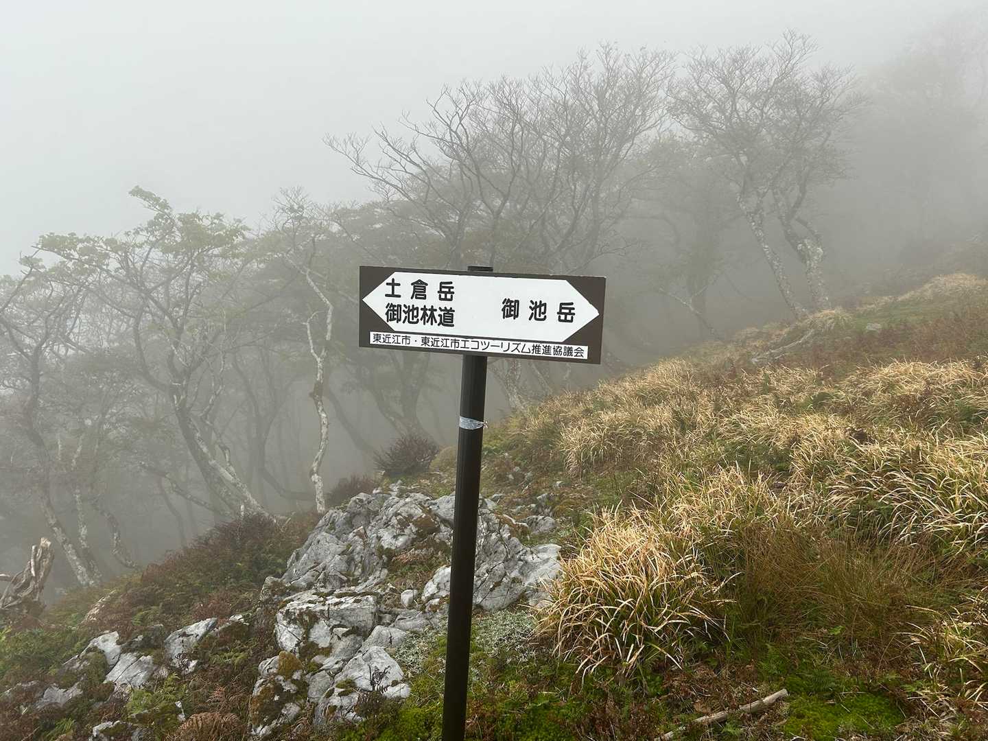 🍙も食べたし、寒いし…撤退