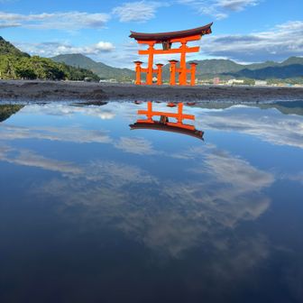 リフレクション