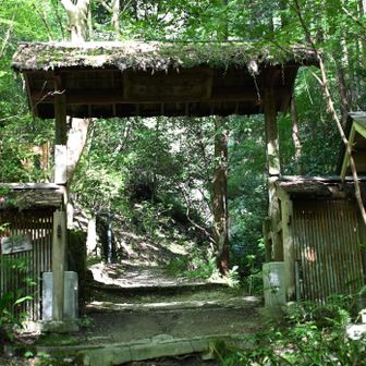 祐泉寺、馬の背コース、
行きます