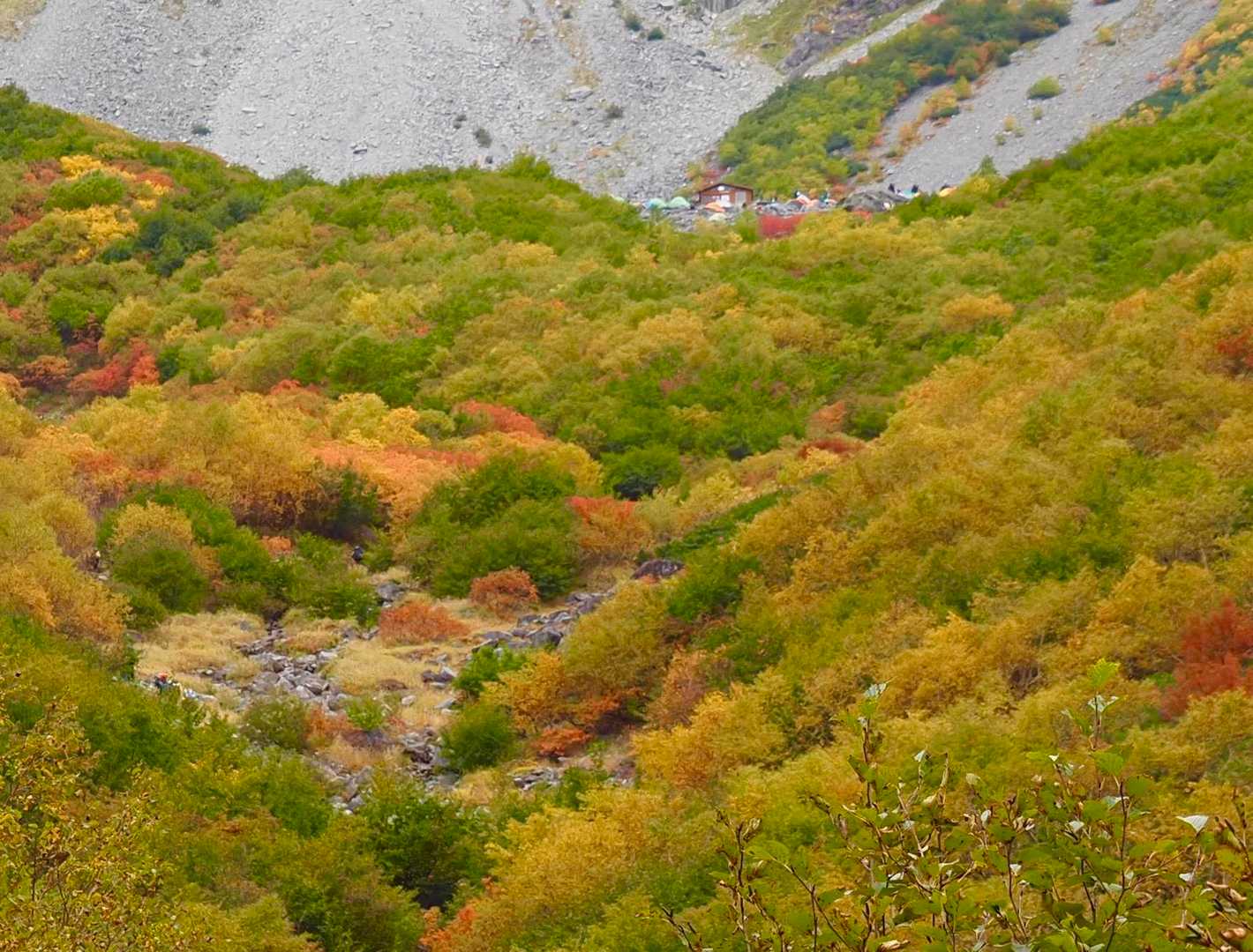 Sガレからのテント場⛺️