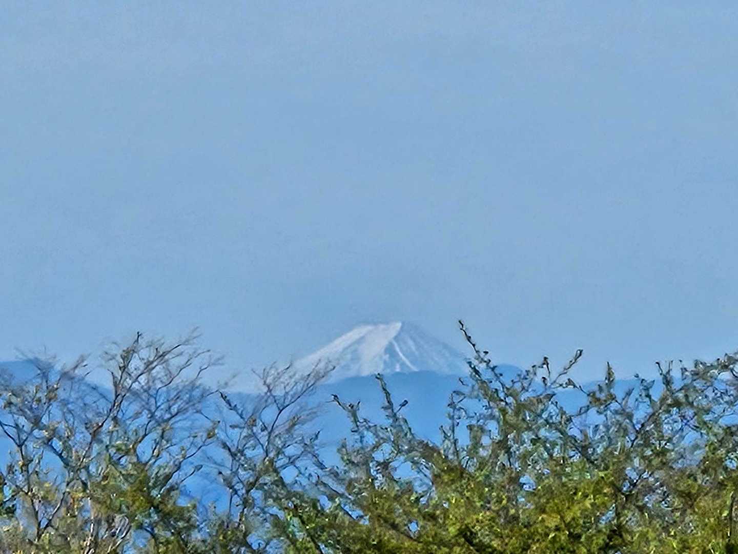 荒山高原から富士山が見えたてびっくり～٩( *˙0˙*)۶
荒山高原～鍋割山を目指します😉