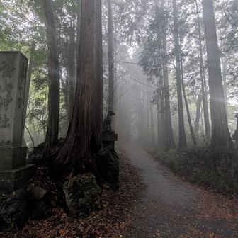 釜山神社、雰囲気を感じる場所でした✨️