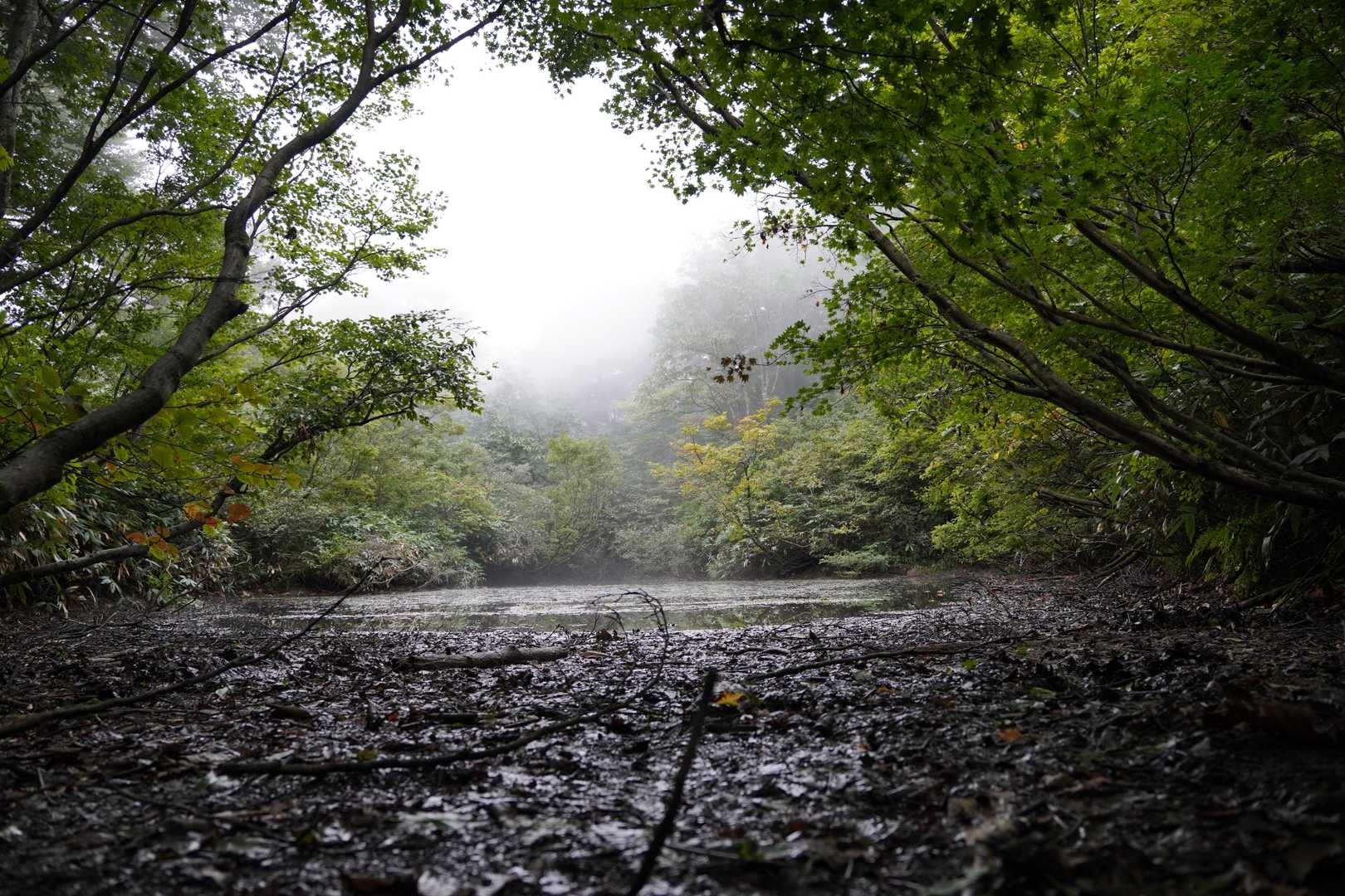 夕霧峠-奥医王山 往復コースの写真