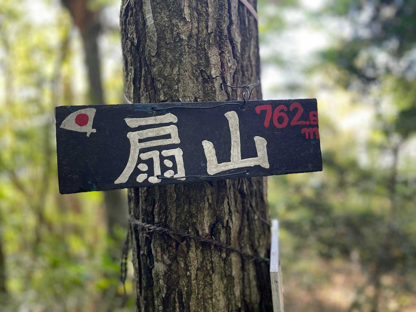 眺望は良くないですがここまでの道のりも好きです
