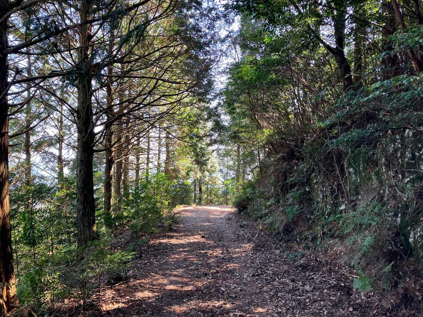 色利登山口-元越山-色利山-石槌山-空の公園登山口 縦走コースの写真